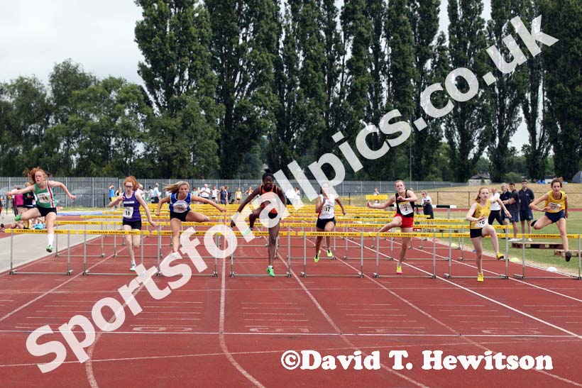 Hurdles 03.